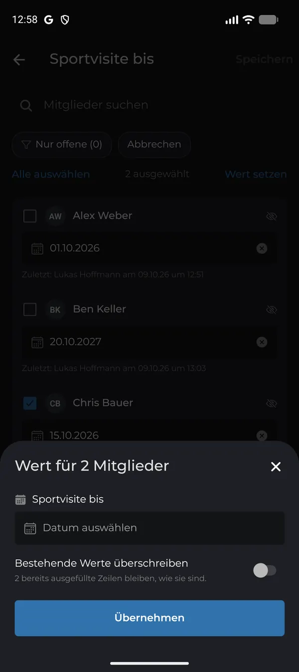 Gemeinsamen Wert setzen, optional bestehende Werte überschreiben