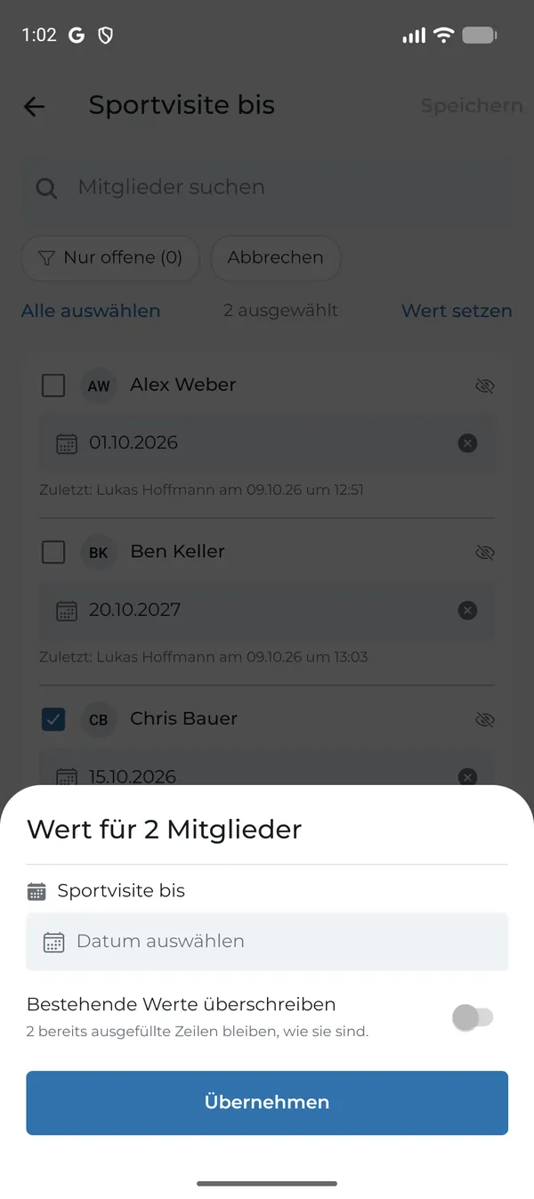 Gemeinsamen Wert setzen, optional bestehende Werte überschreiben
